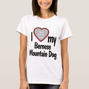 I Love My Bernese Mountain Dog Cute Heart Photo T-Shirt
