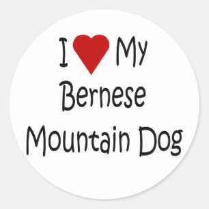 I Love My Bernese Mountain Dog Lover Gifts Classic Round Sticker