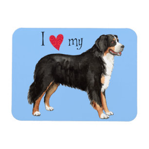 I Love my Bernese Mountain Dog Magnet