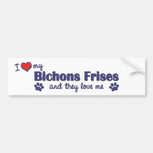 I Love My Bichons Frises (Multiple Dogs) Bumper Sticker