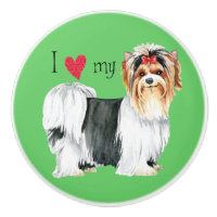 I love my Biewer Terrier