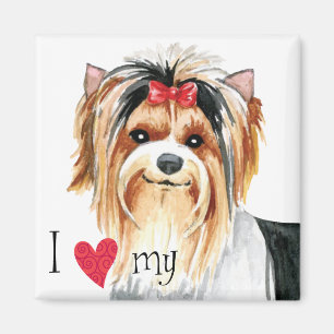 I Love my Biewer Terrier Magnet