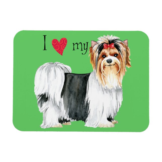 I Love my Biewer Terrier Magnet (Horizontal)