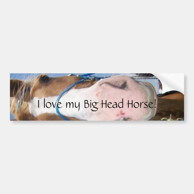 I love my Big Head Horse! Bumper Sticker (Front)