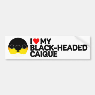I LOVE MY BLACK-HEADED CAIQUE BUMPER STICKER