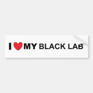I Love my black lab Bumper Sticker