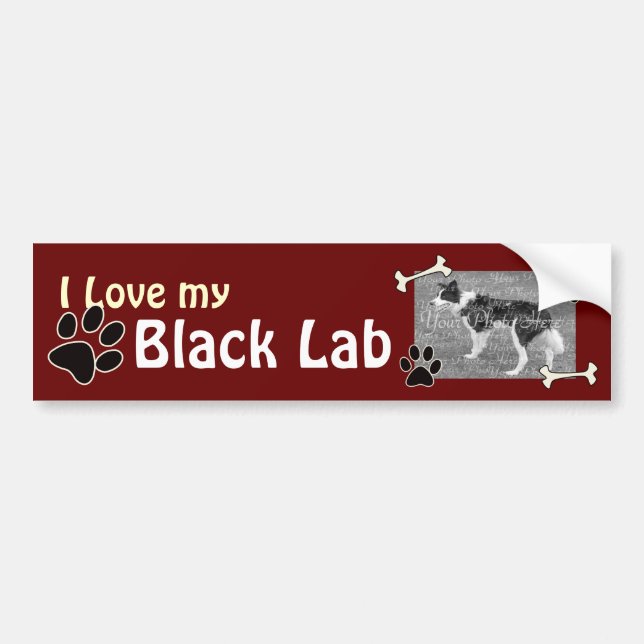 I love my Black Lab Bumper Sticker (Front)
