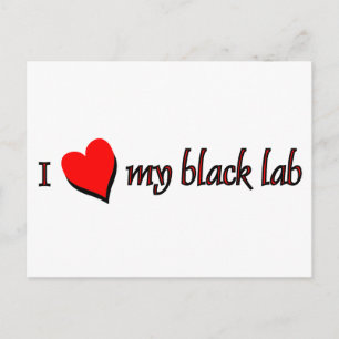 I Love my Black Labrador Postcard