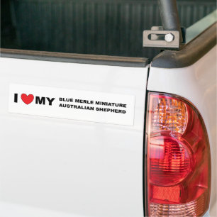 i love my blue merle mini aussie bumper sticker