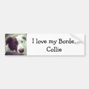 I love my Border Collie Bumper Sticker