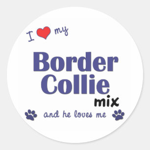 I Love My Border Collie Mix (Male Dog) Classic Round Sticker