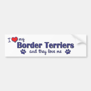 I Love My Border Terriers (Multiple Dogs) Bumper Sticker