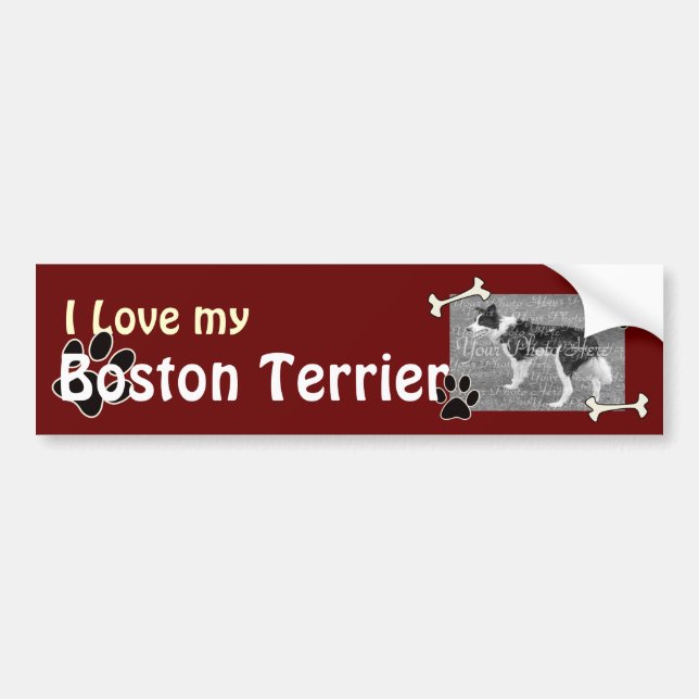 I love my Boston Terrier Bumper Sticker (Front)
