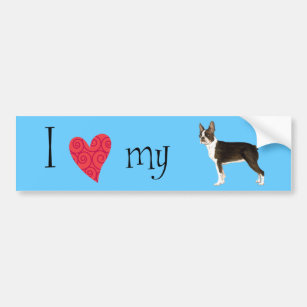I Love my Boston Terrier Bumper Sticker