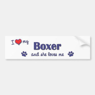 I Love My Boxer (Female Dog) Bumper Sticker