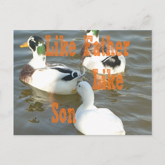 I love my Boy like father like son Postcard (Front)