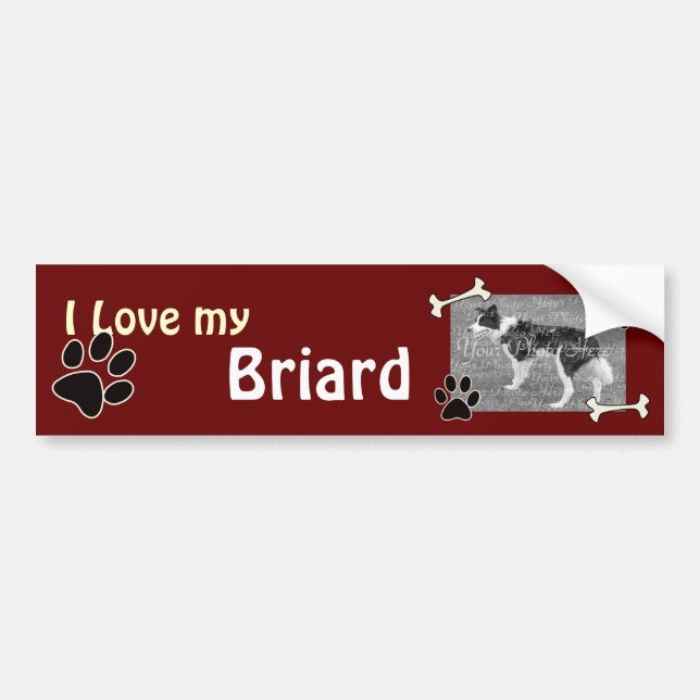 I love my Briard Bumper Sticker (Front)