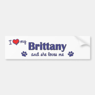 I Love My Brittany (Female Dog) Bumper Sticker