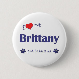 I Love My Brittany (Male Dog) 6 Cm Round Badge