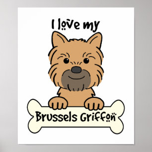 I Love My Brussels Griffon Poster
