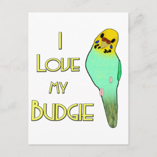 I Love My Budgie Postcard