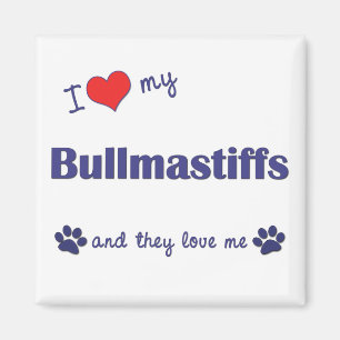 I Love My Bullmastiffs (Multiple Dogs) Magnet