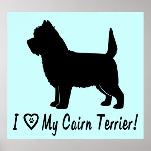 I Love My Cairn Terrier Poster