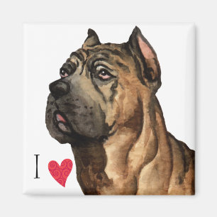 I Love my Cane Corso Magnet