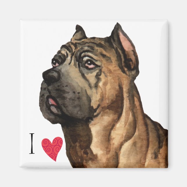 I Love my Cane Corso Magnet (Front)