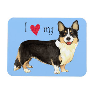 I Love my Cardigan Welsh Corgi Magnet