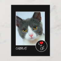 I Love My Cat, Custom Photo – Pet Lovers