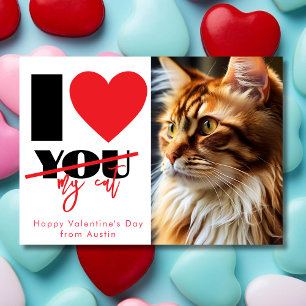 I love my cat or any pet funny Valentine's day Holiday Card