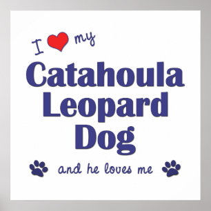 I Love My Catahoula Leopard Dog (Male Dog) Poster