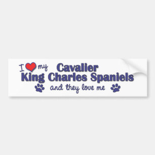 I Love My Cavalier King Charles (Multiple Dogs) Bumper Sticker