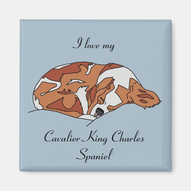 I Love My Cavalier King Charles Spaniel Magnet (Front)