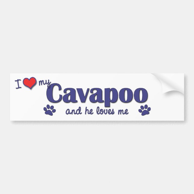 I Love My Cavapoo (Male Dog) Bumper Sticker (Front)