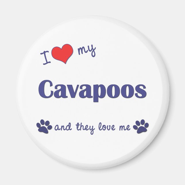 I Love My Cavapoos (Multiple Dogs) Magnet (Front)