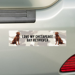 I love my Chesapeake Bay... Bumper Sticker