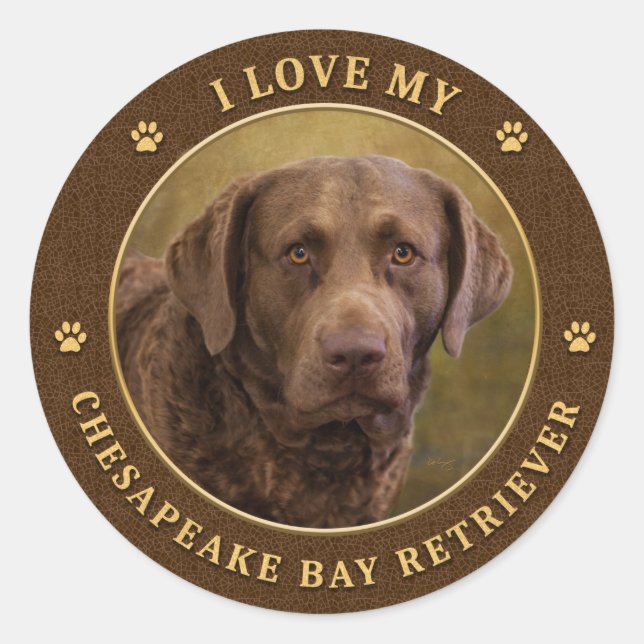 I Love My Chesapeake Bay Retriever Round Stickers (Front)
