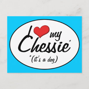 I Love My Chessie (It's a Dog) Postcard