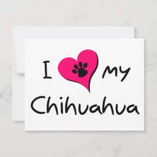 I Love my Chihuahua