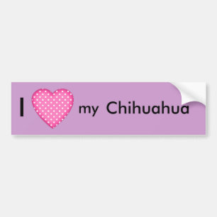 I love my Chihuahua Bumper Sticker