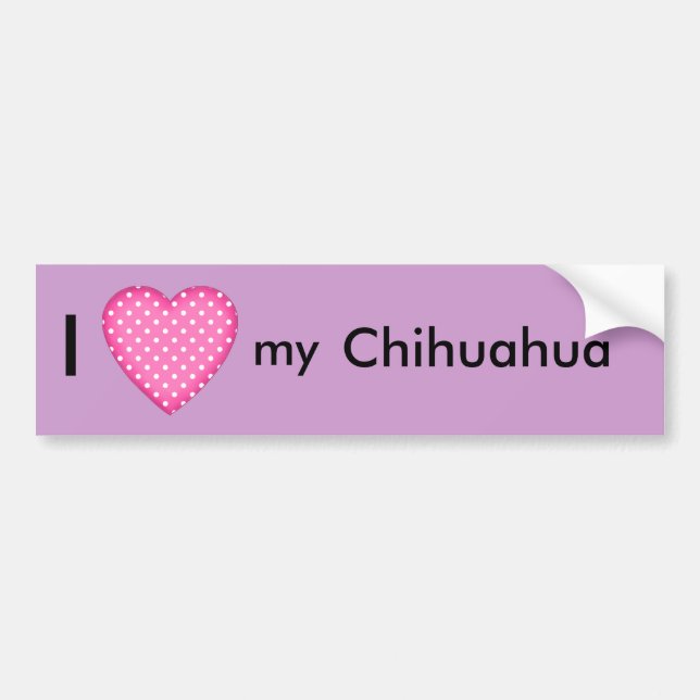 I love my Chihuahua Bumper Sticker (Front)