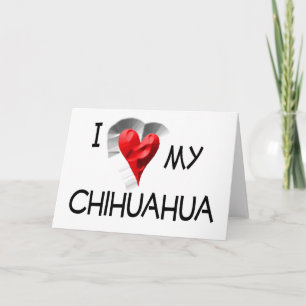 I Love My Chihuahua Card