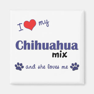 I Love My Chihuahua Mix (Female Dog) Magnet