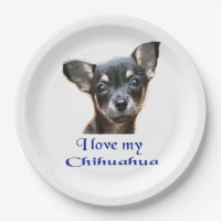 I love my Chihuahua