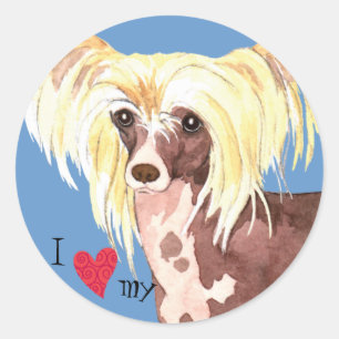 I Love my Chinese Crested Classic Round Sticker