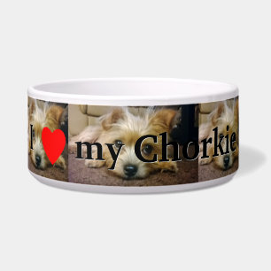 I love my Chorkie
