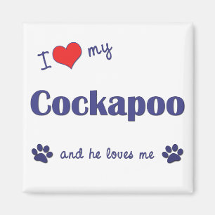 I Love My Cockapoo (Male Dog) Magnet