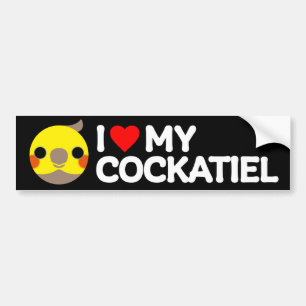 I LOVE MY COCKATIEL – cinnamon male Bumper Sticker